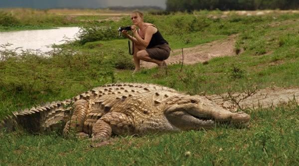 Mulher Próxima de um Crocodilo-do-Orinoco