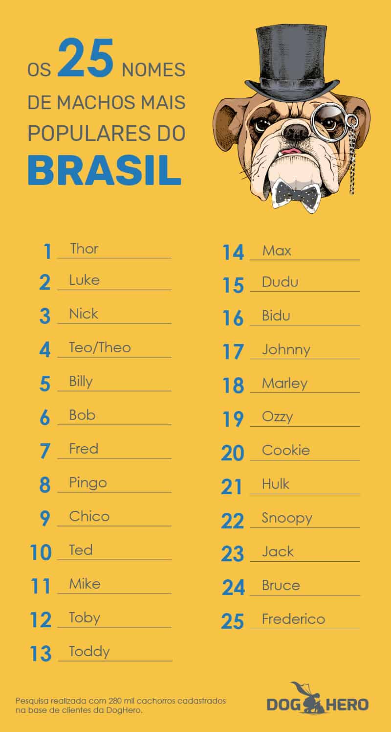 Nomes Para Cachorros 