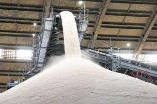 Produção do Açúcar