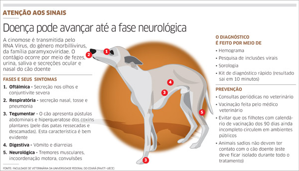 Sinais da Doença Cinomose Canina