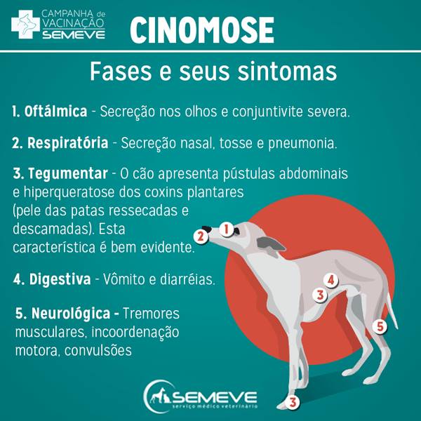 Sintomas da Cinomose
