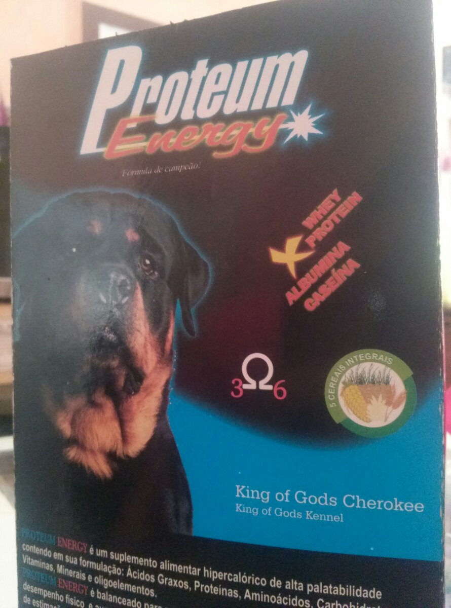 Suplementos para Cães