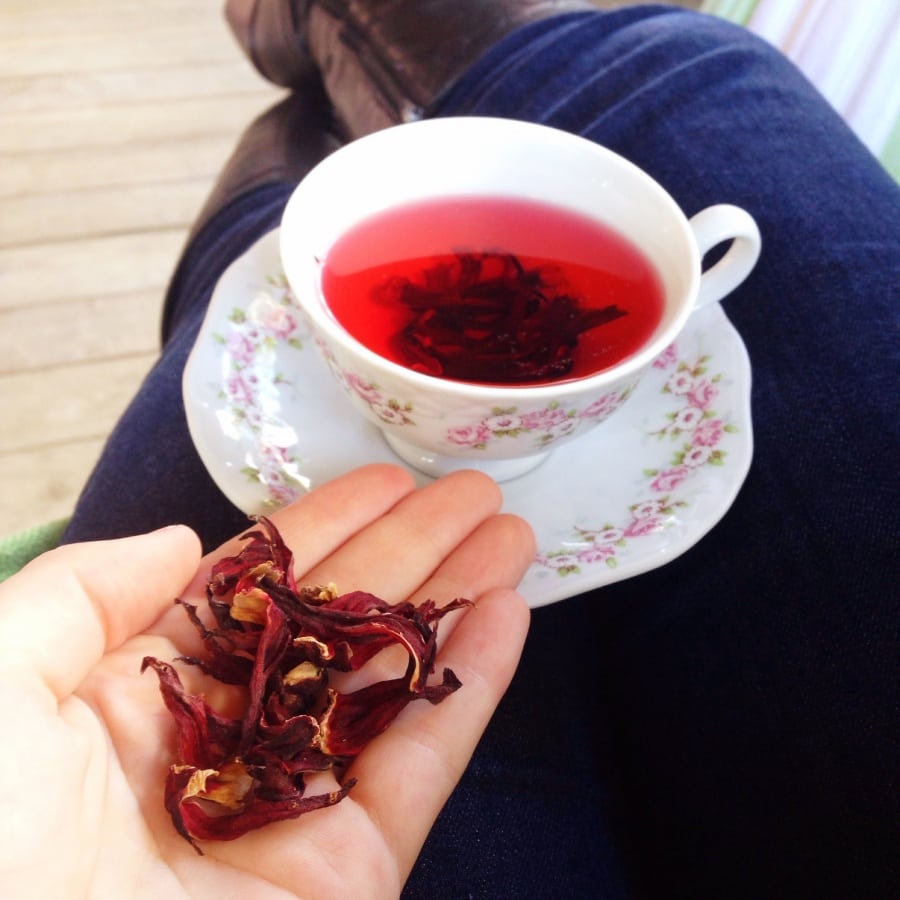 Tomando Chá de Hibisco 