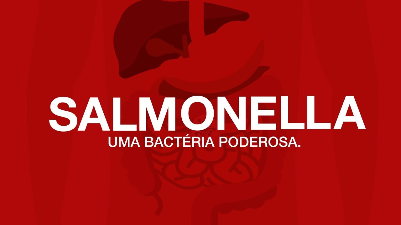 Bactéria Salmonela