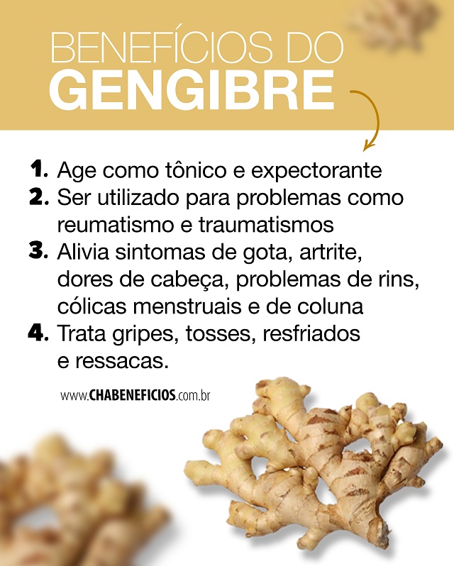 Benefícios da Gengibre 