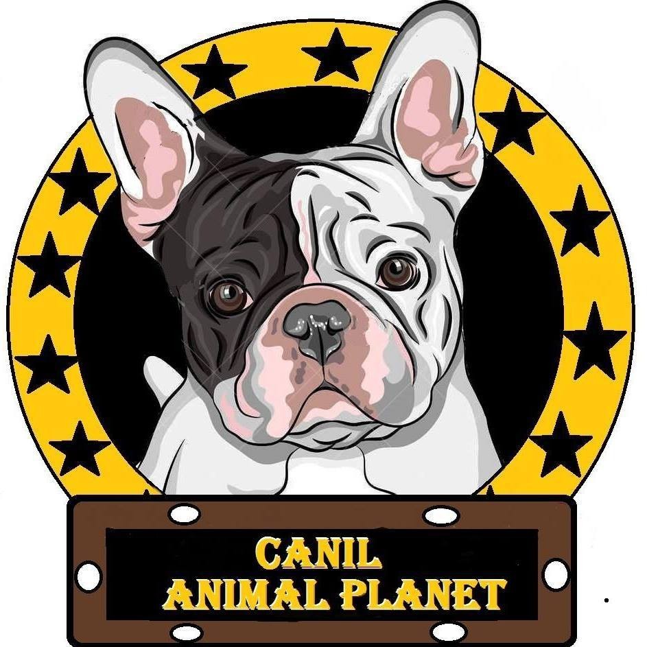 Canil Animal Planet