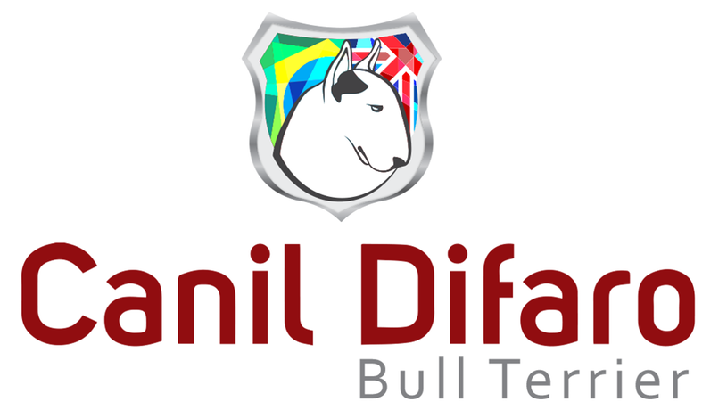 Canil Difaro Bull Terrier