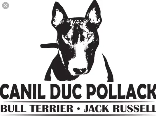 Canil Duc Pollack