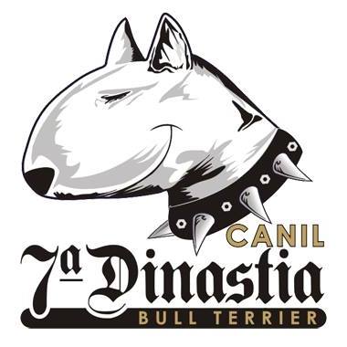 Canil Sétima Dinastia