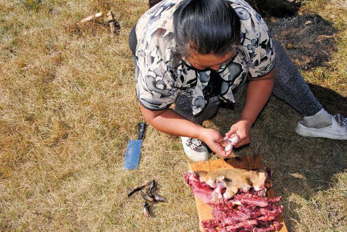 Carne de Marmota