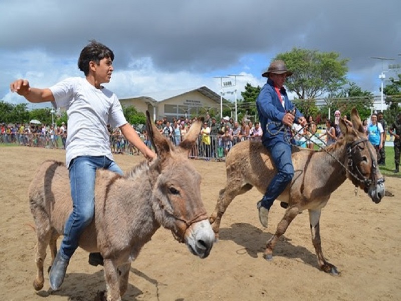 Cavalgando no Jegue 