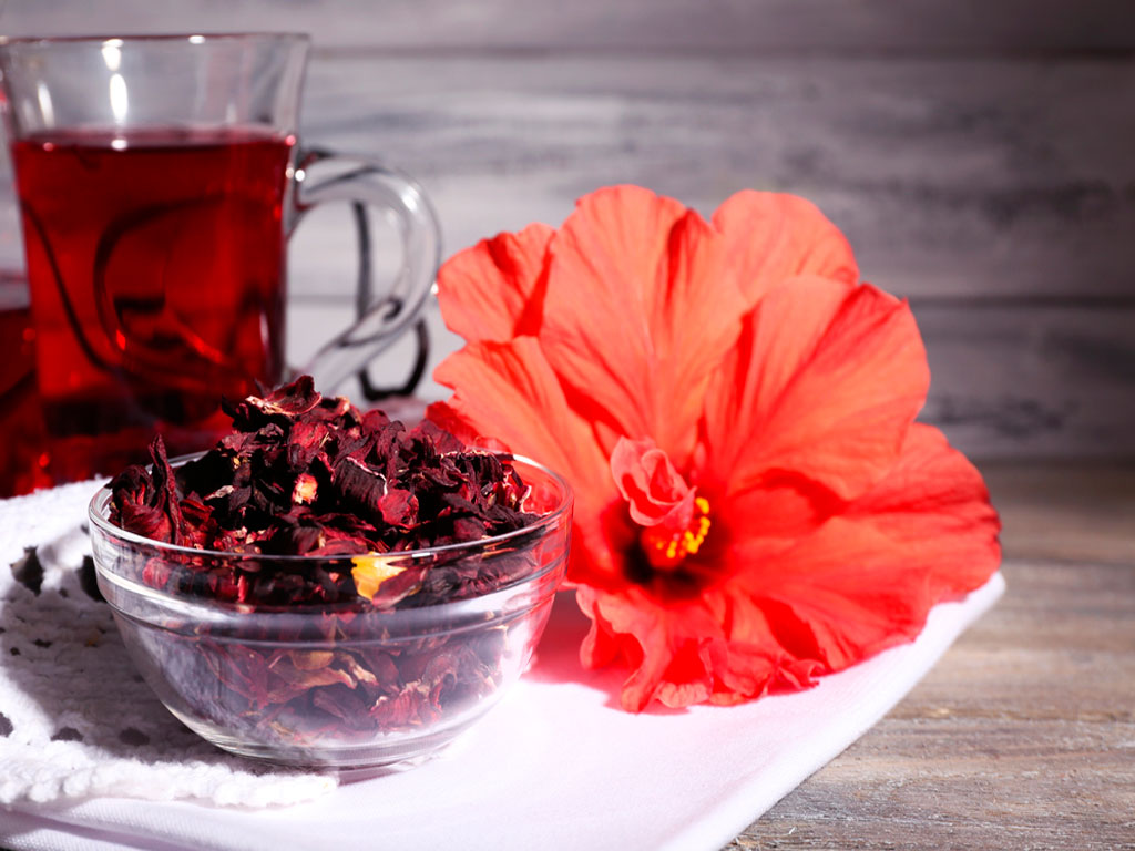 Chá de Hibisco Ajuda na Hipertensão