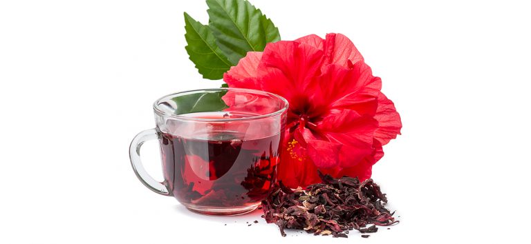 Pode Tomar Chá de Hibisco Durante Menstruaçao? | Mundo Ecologia