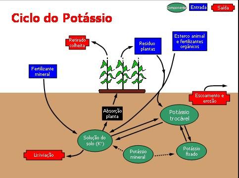 Ciclo do Potássio