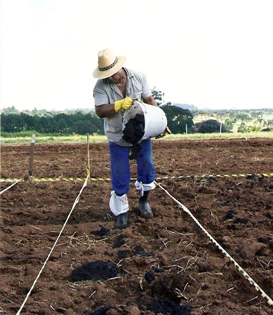 Colocando Fertilizante no Solo