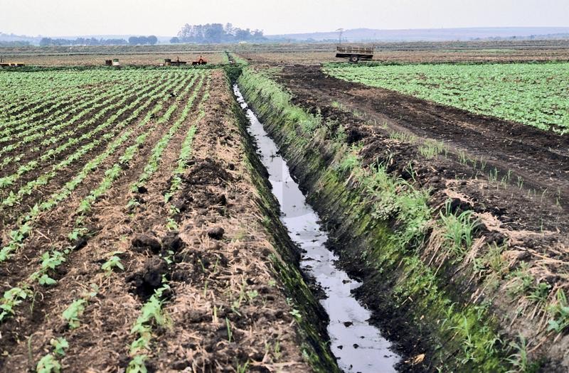 Para Que Serve o Gesso Agrícola? O Que Ele É? Mundo Ecologia