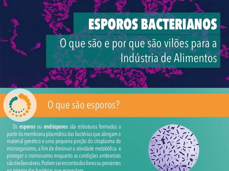 Esporos Bacterianos