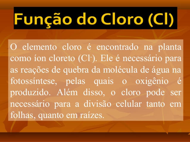 Função Do Cloro Para as Plantas