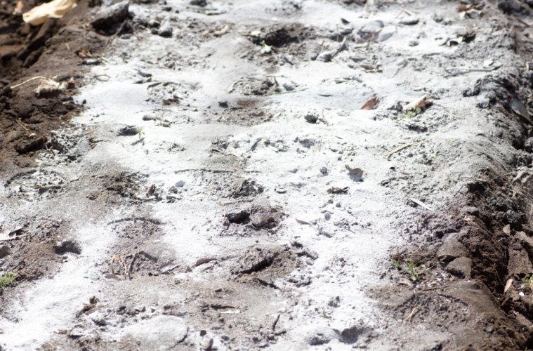 Para Que Serve o Gesso Agrícola? O Que Ele É?