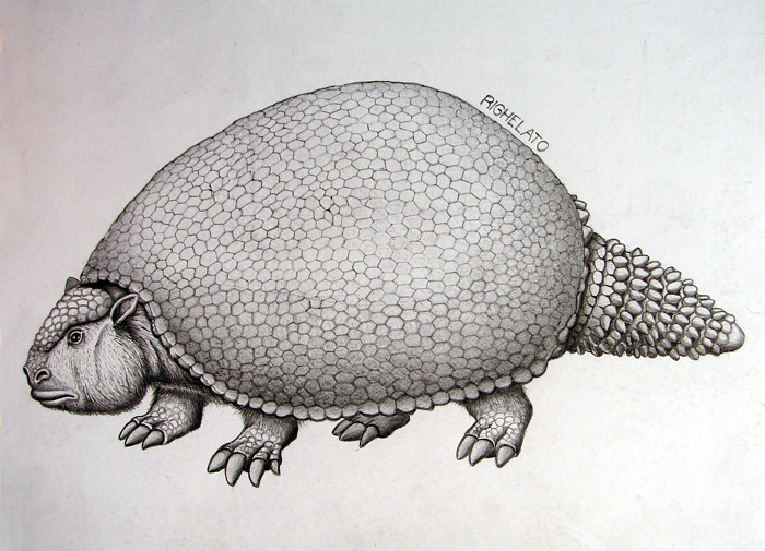 Ilustraçao do Glyptodon Em Preto e Branco 