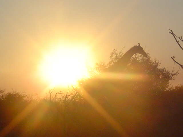 Luz do Sol