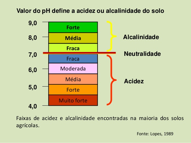 PH do Solo