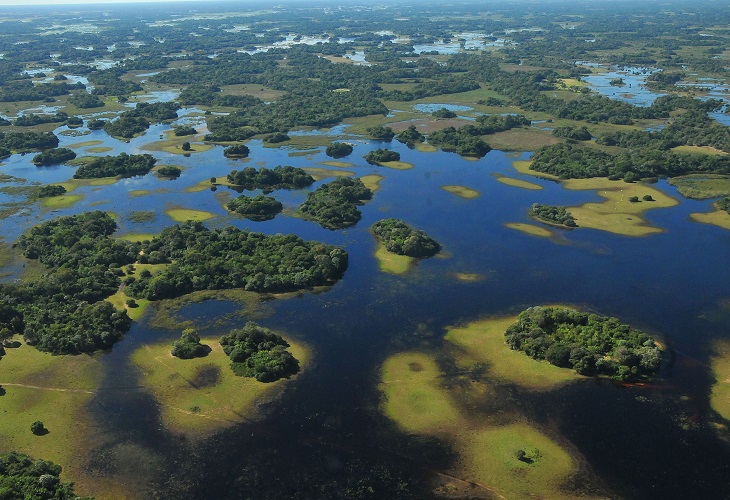 Pantanal 