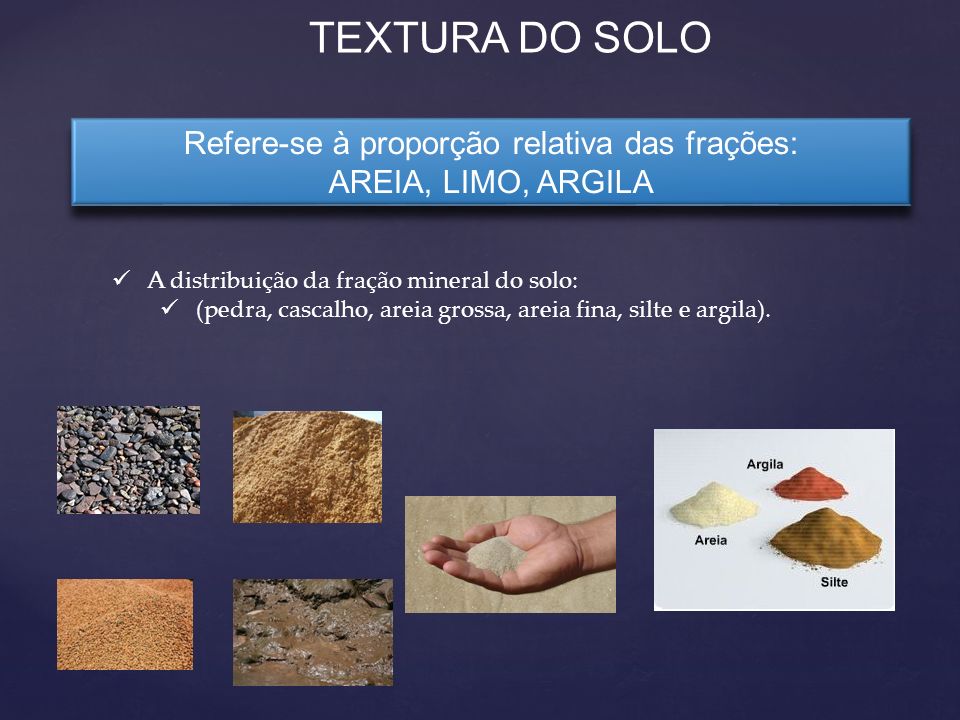 Textura e Estrutura do Solo