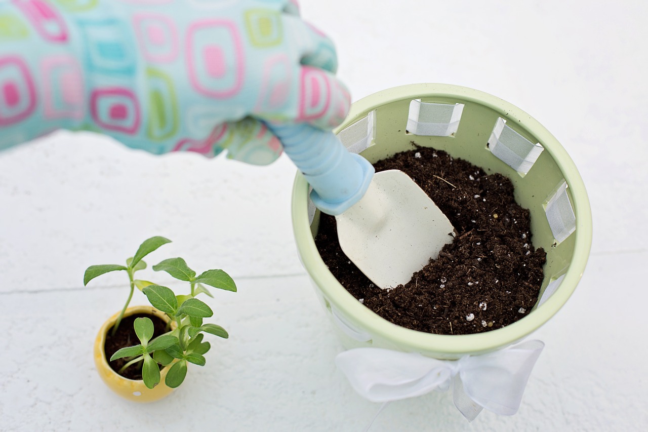 Trocando a Planta de Vaso 