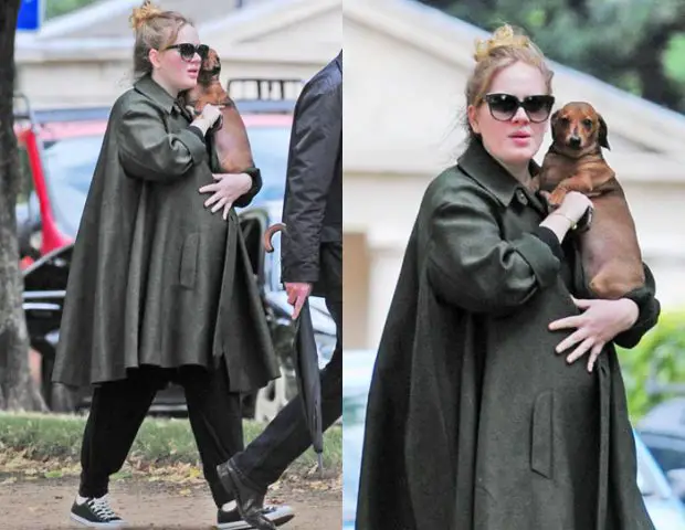 Adele Com Seu Cachorro Louie 