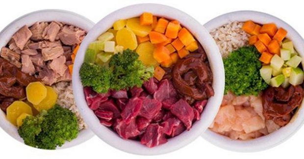 Alimentação Natural para Chow Chow