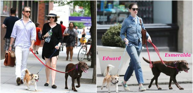 Anne Hathaway Passeando com Seu Cachorro 