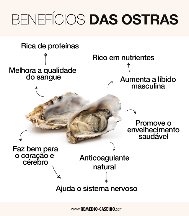 Benefícios das Ostras 