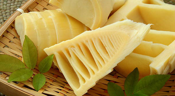 Brotos de Bambu Fatiados