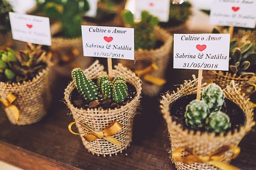 Cacto Como Lembrancinha Casamento 