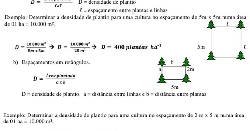 Calcular a Densidade das Plantas