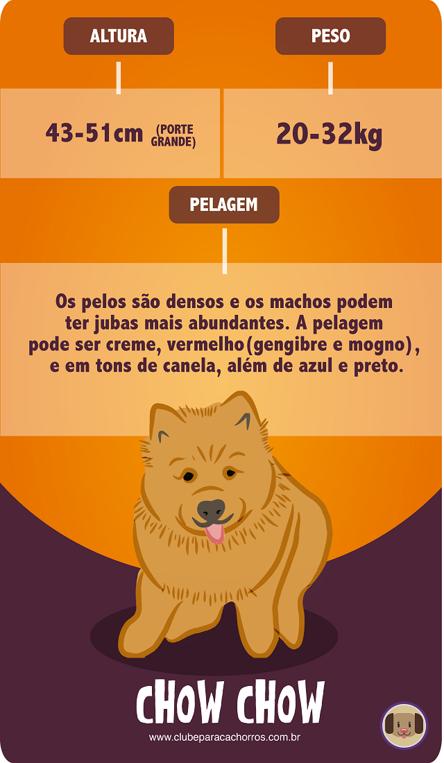 Características do Chow Chow 