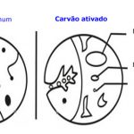 Carvão Vegetal vs Carvão Ativado