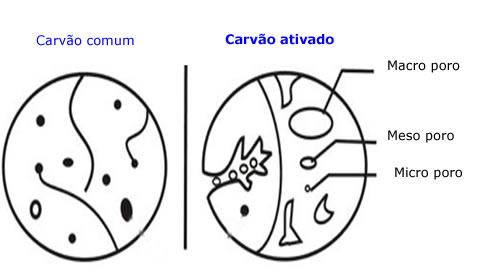 Carvão Vegetal vs Carvão Ativado