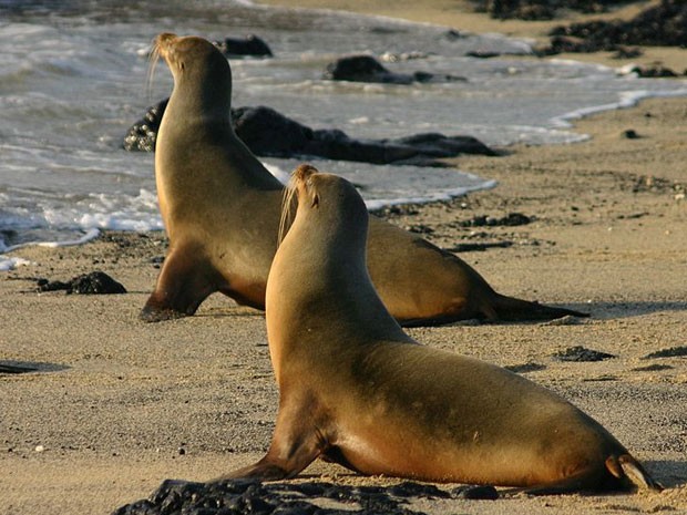 Casal de Lobo-Marinho