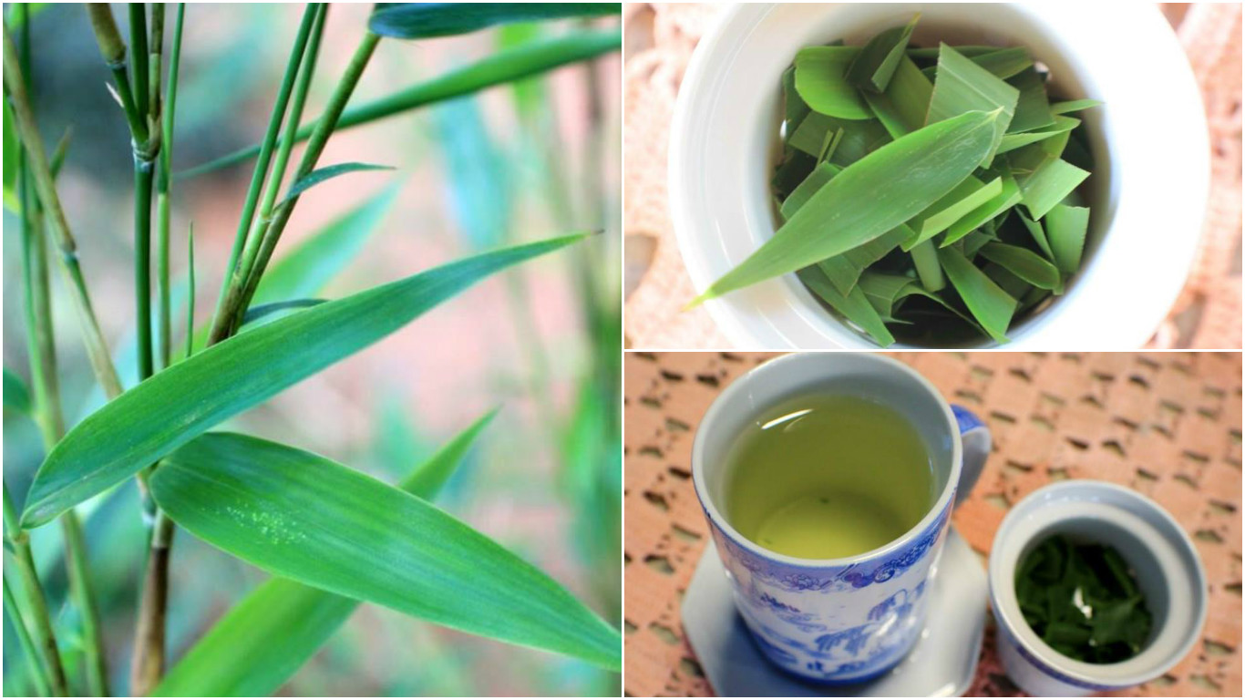 Chá de Bambu