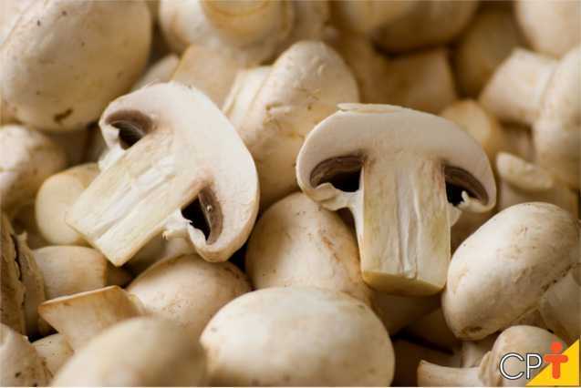 Qual a Diferença Entre o Cogumelo e o Champignon?