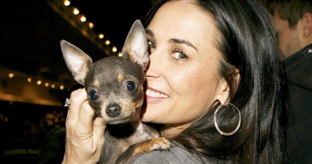 Demi Moore Com Seu Cachorro Life 