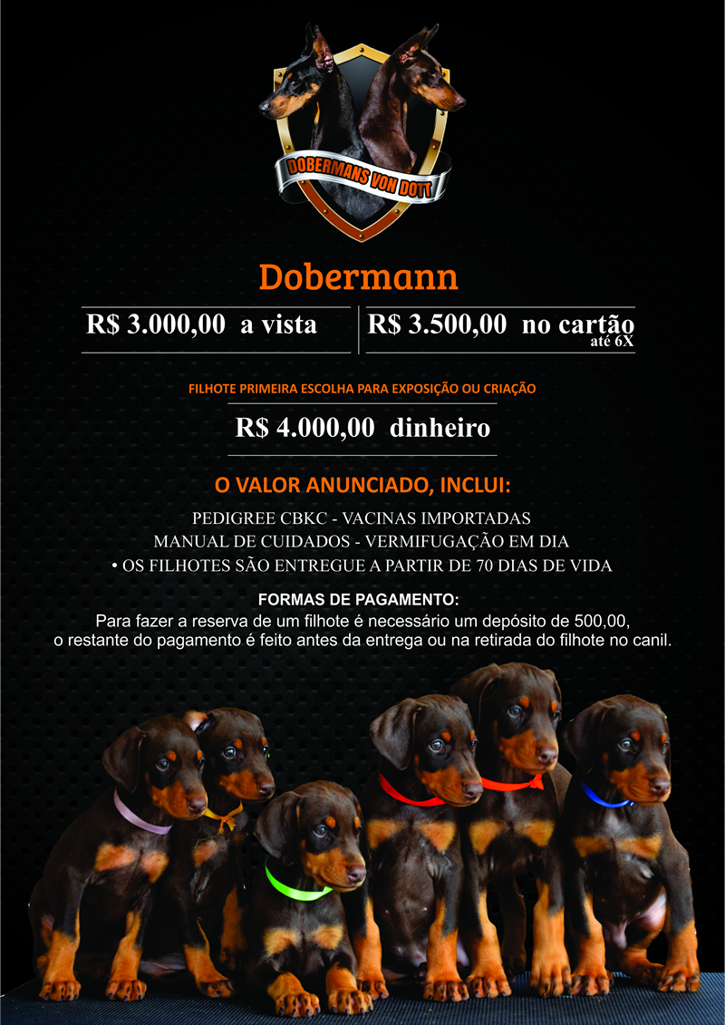 Dobermans Von Dott