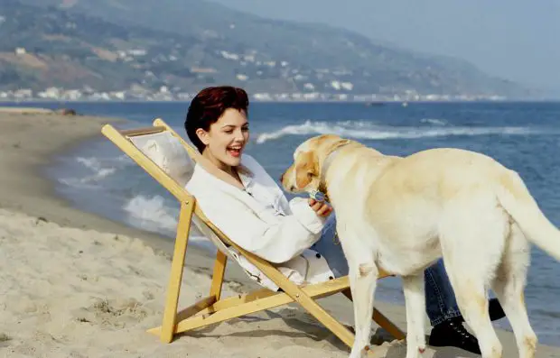 Drew Barrymore Com Seu Cachorro Flosie