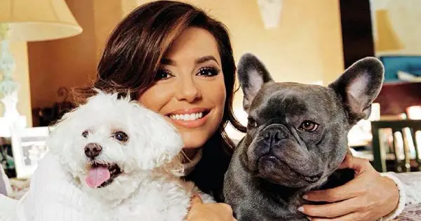 Eva Longoria Com Seus Cachorros Jinxi e Oprah 