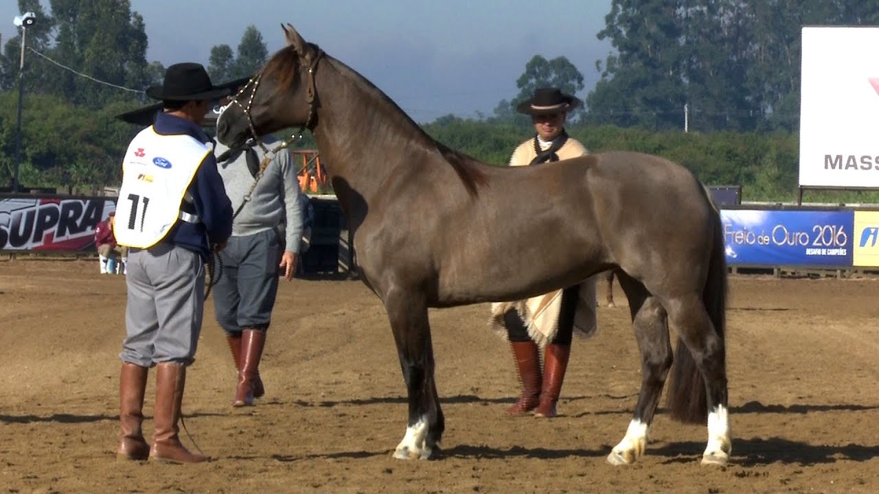 Farrera De Los Campos