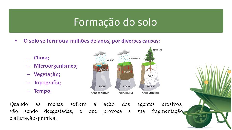 Formação do Solo