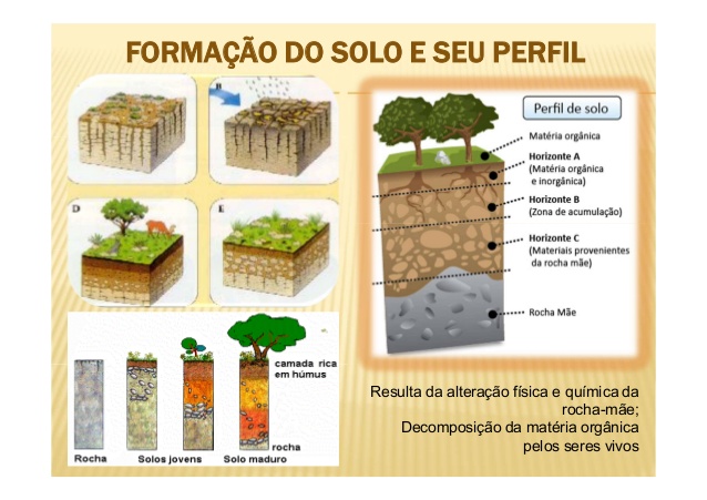 Formação do Solo