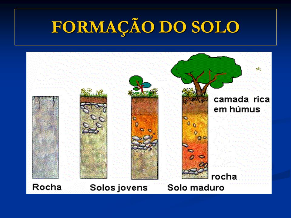 Formação dos Solos